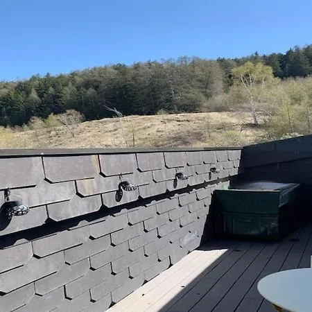 Marvelous With Balcony Appartement