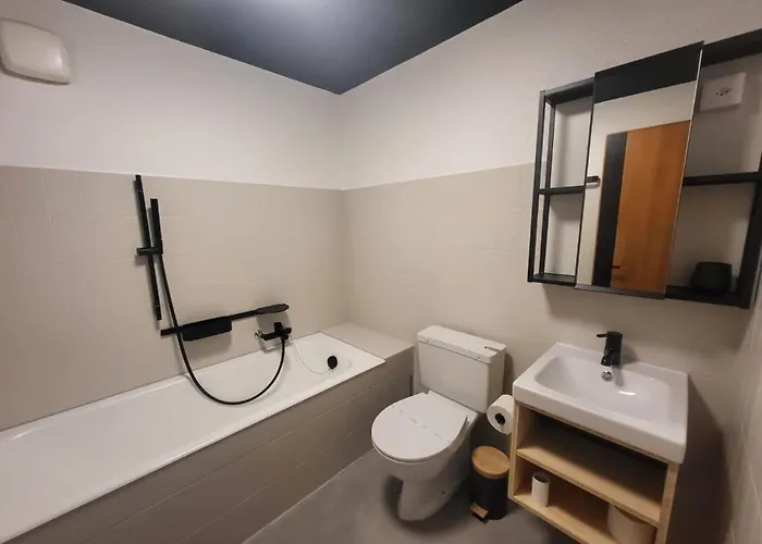 公寓 Marvelous With Balcony Agettes